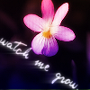 Click to view original image