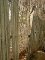 Old Fence